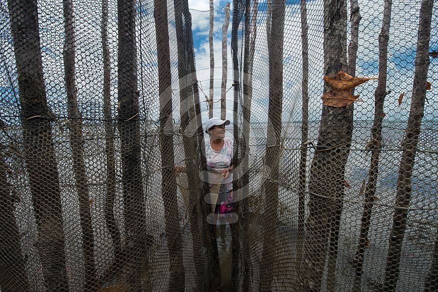 Fisherman inspection nets for fish in Brazil